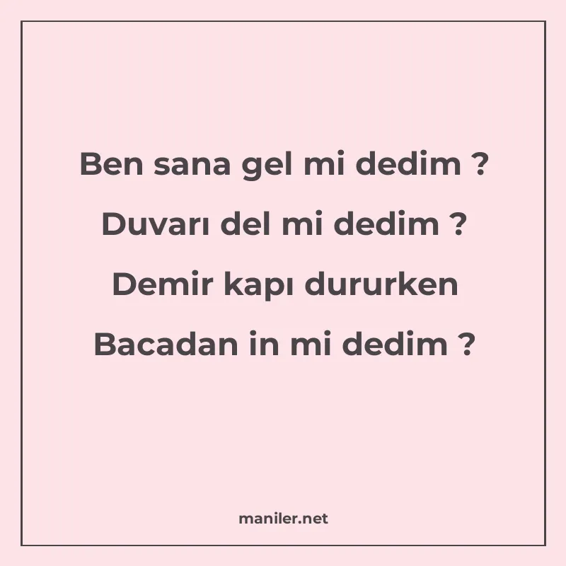 Ben sana gel mi dedim ? Duvarı del mi dedim ? Demir kapı dur manisi görseli