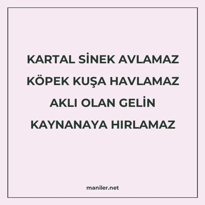 KARTAL SİNEK AVLAMAZ KÖPEK KUŞA HAVLAMAZ AKLI OLAN GELİN KAY manisi görseli