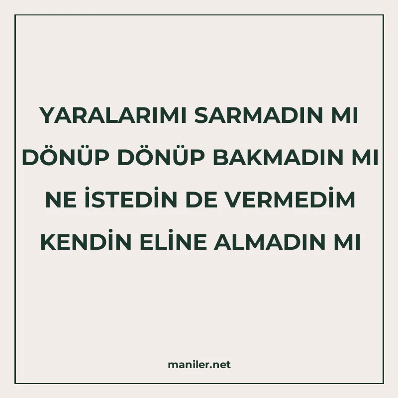 YARALARIMI SARMADIN MI DÖNÜP DÖNÜP BAKMADIN MI NE İSTEDİN DE manisi görseli