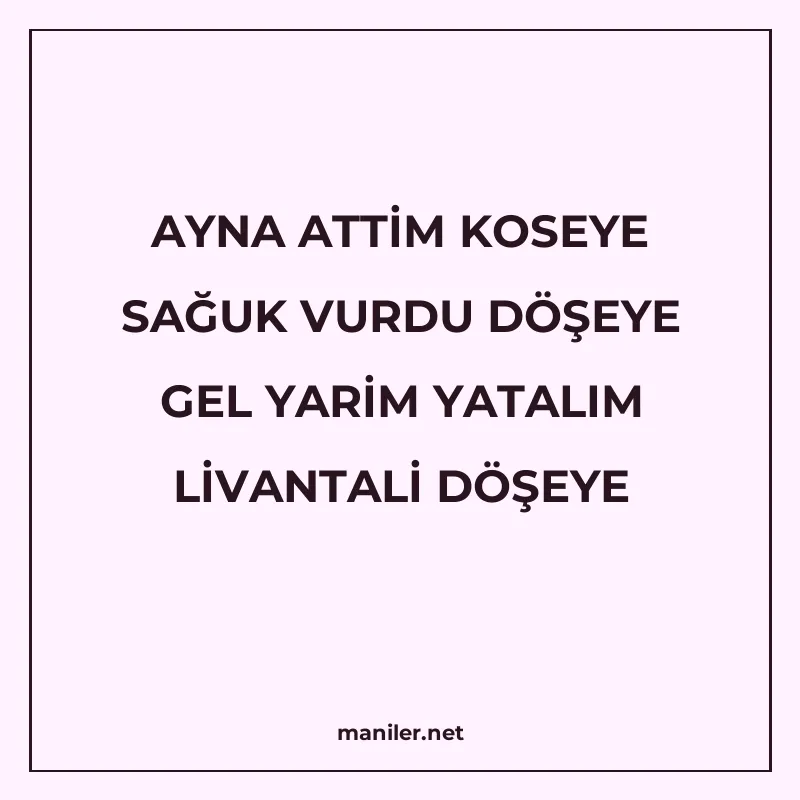 AYNA ATTİM KOSEYE SAĞUK VURDU DÖŞEYE GEL YARİM YATALIM LİVAN manisi görseli
