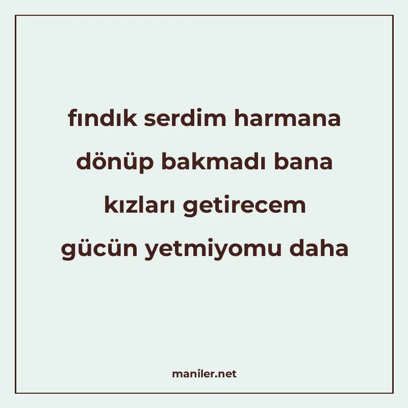 fındık serdim harmana dönüp bakmadı bana kızları getirecem g manisi görseli