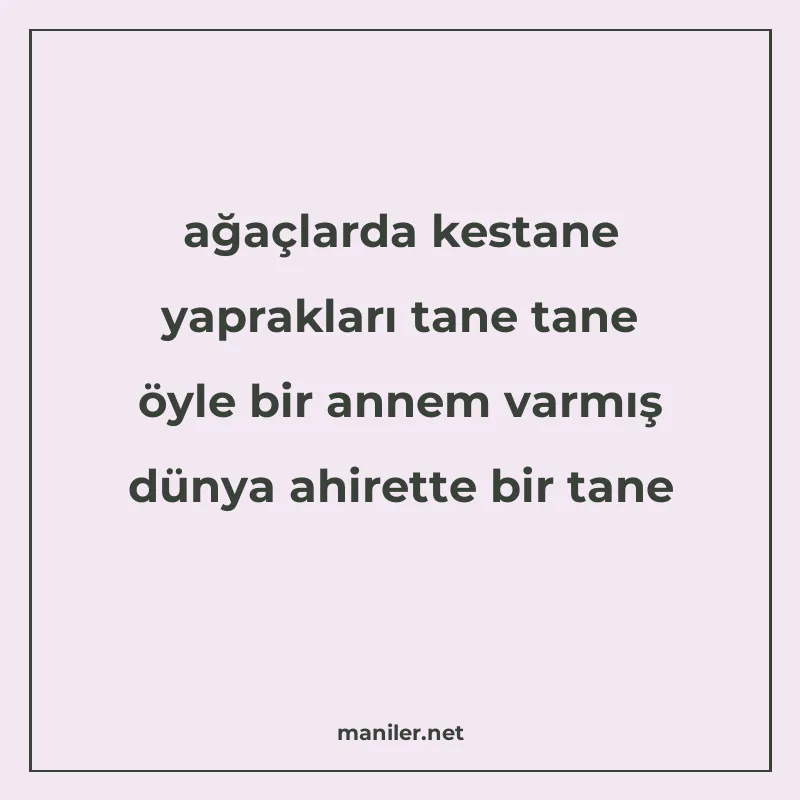 ağaçlarda kestane yaprakları tane tane öyle bir annem varmış manisi görseli