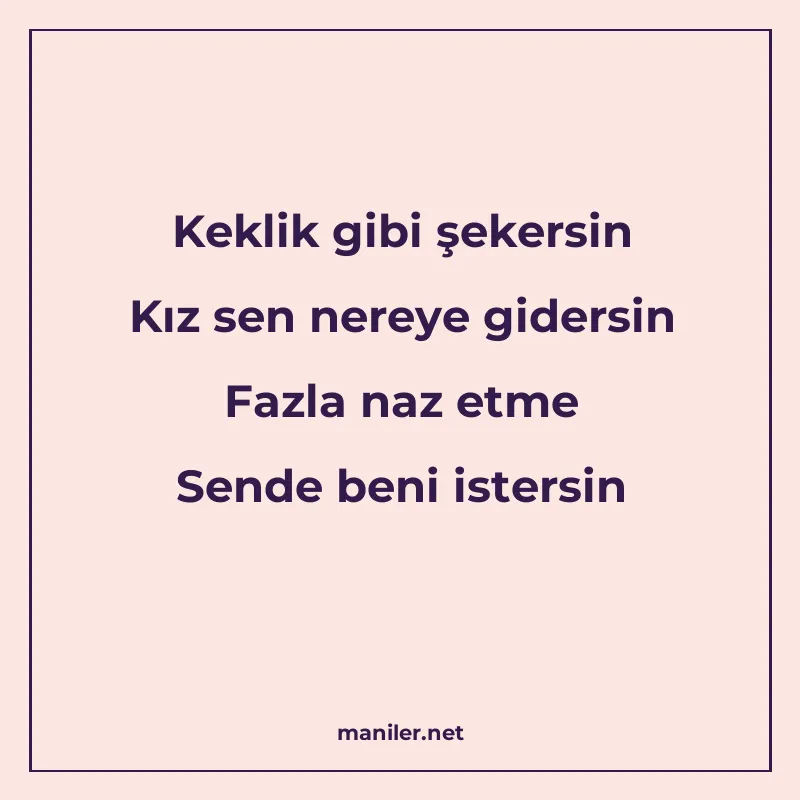 Keklik gibi şekersin Kız sen nereye gidersin Fazla naz etme manisi görseli
