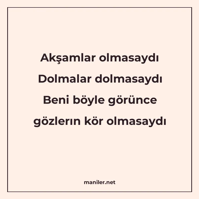 Akşamlar olmasaydı Dolmalar dolmasaydı Beni böyle görünce gö manisi görseli