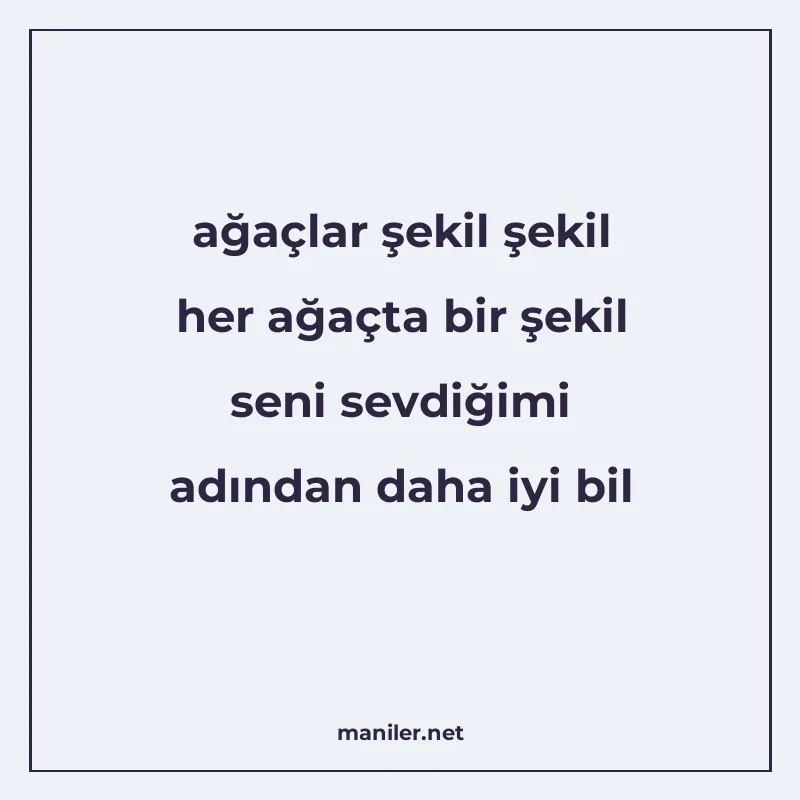 ağaçlar şekil şekil her ağaçta bir şekil seni sevdiğimi adın manisi görseli