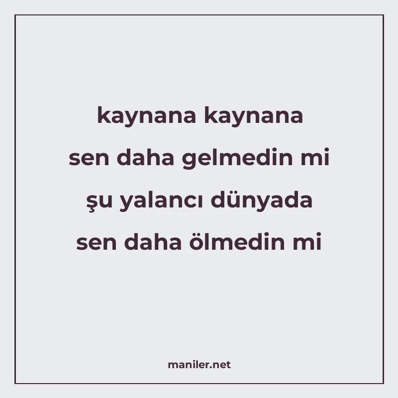 kaynana kaynana sen daha gelmedin mi şu yalancı dünyada sen manisi görseli