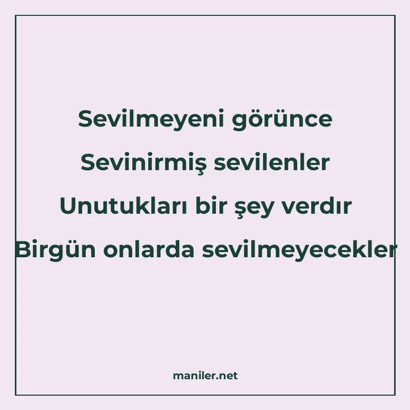 Sevilmeyeni görünce Sevinirmiş sevilenler Unutukları bir şey manisi görseli