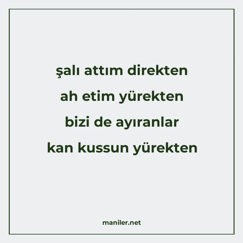 şalı attım direkten ah etim yürekten bizi de ayıranlar kan k manisi görseli