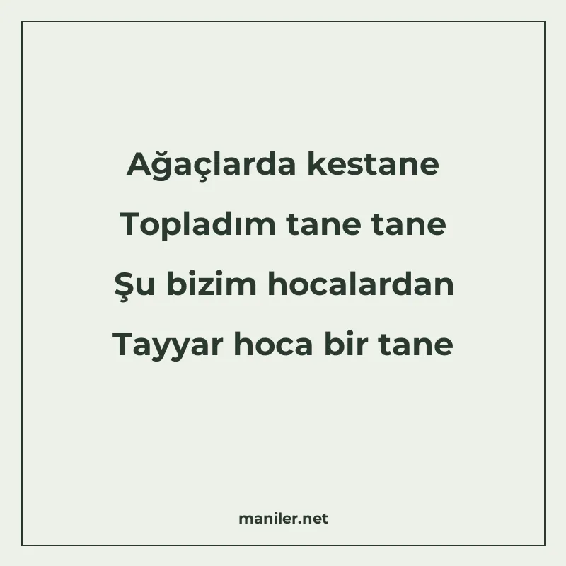 Ağaçlarda kestane Topladım tane tane Şu bizim hocalardan Tay manisi görseli