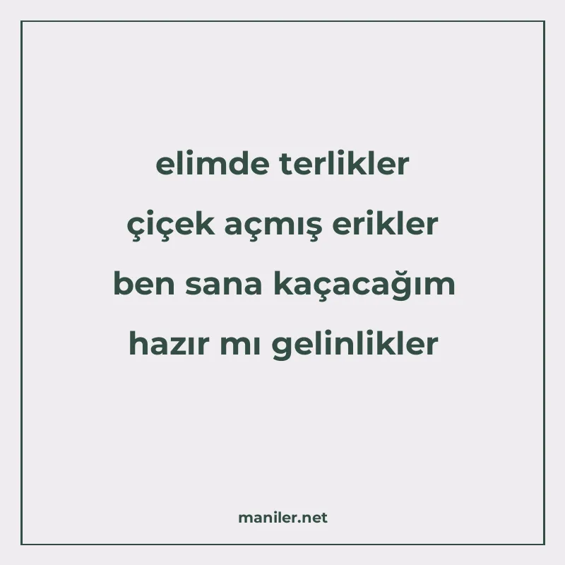 elimde terlikler çiçek açmış erikler ben sana kaçacağım hazı manisi görseli