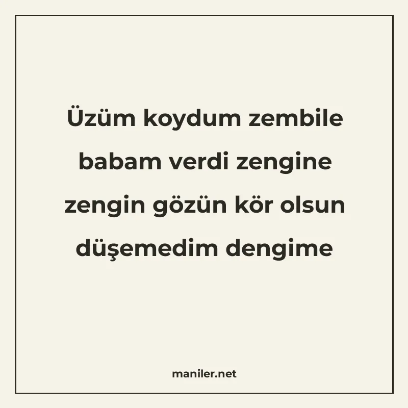 Üzüm koydum zembile babam verdi zengine zengin gözün kör ols manisi görseli