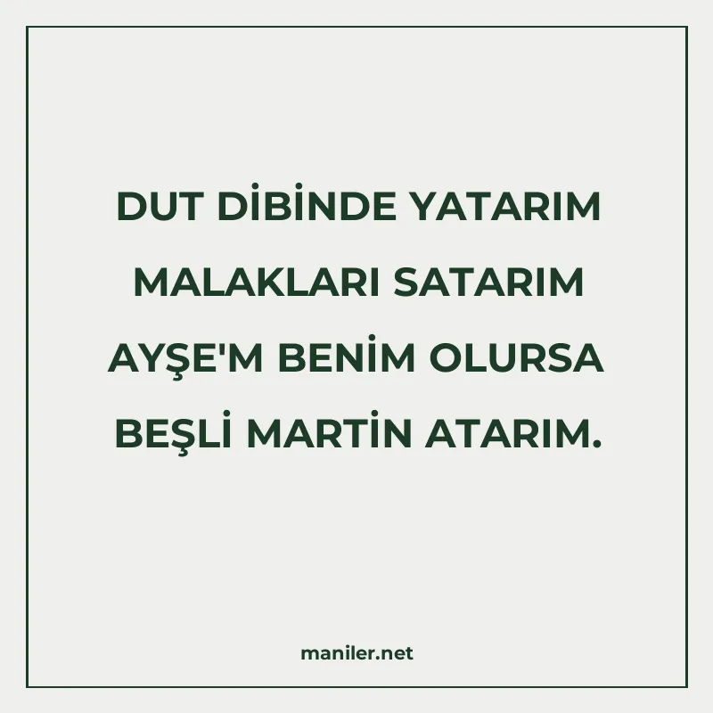DUT DİBİNDE YATARIM MALAKLARI SATARIM AYŞE'M BENİM OLURSA BE manisi görseli