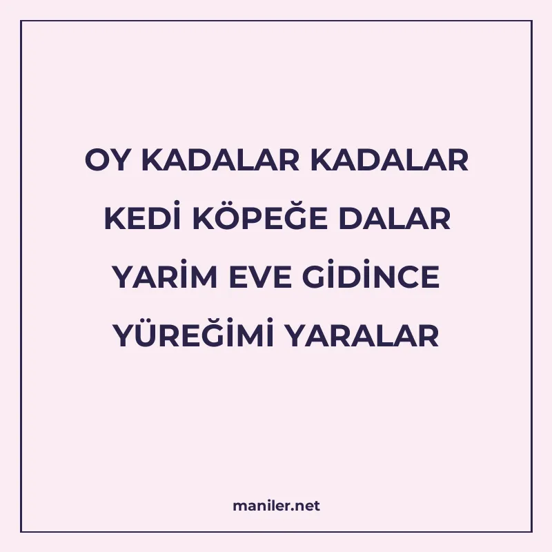 OY KADALAR KADALAR KEDİ KÖPEĞE DALAR YARİM EVE GİDİNCE YÜREĞ manisi görseli