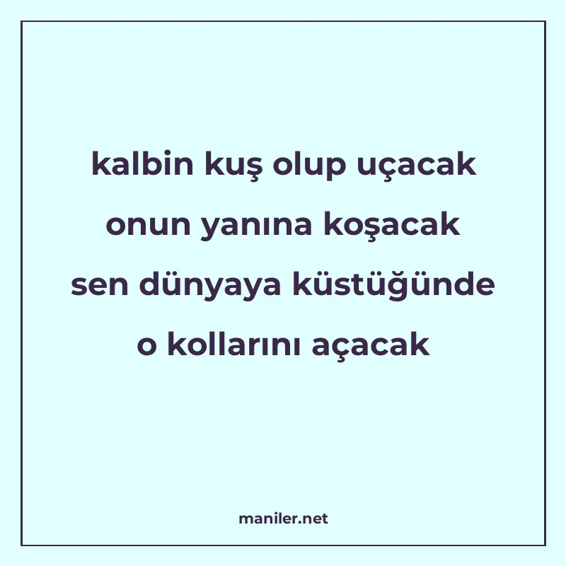 kalbin kuş olup uçacak onun yanına koşacak sen dünyaya küstü manisi görseli