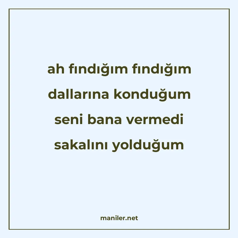 ah fındığım fındığım dallarına konduğum seni bana vermedi sa manisi görseli