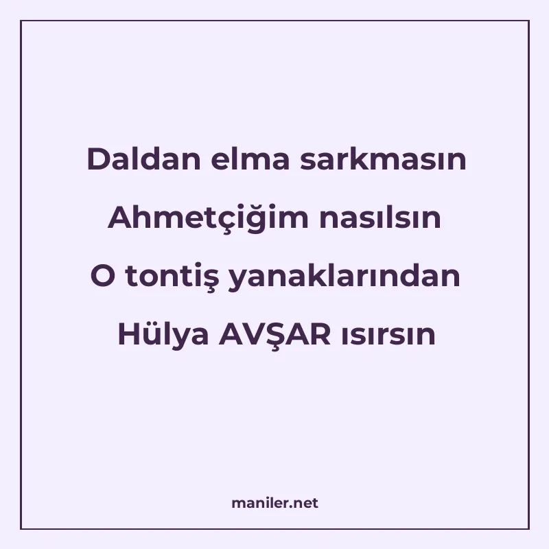 Daldan elma sarkmasın Ahmetçiğim nasılsın O tontiş yanakları manisi görseli
