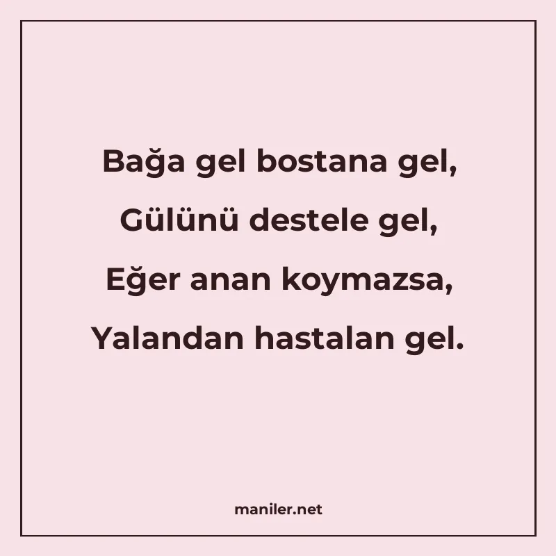 Bağa gel bostana gel, Gülünü destele gel, Eğer anan koymazsa manisi görseli