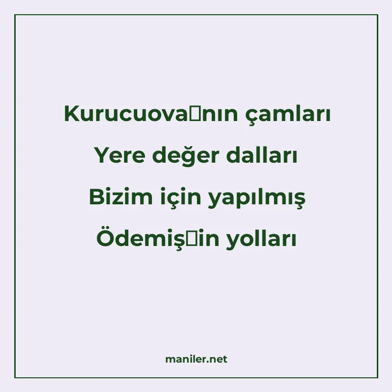 Kurucuova'nın çamları Yere değer dalları Bizim için yapılmış manisi görseli