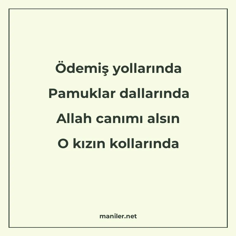 Ödemiş yollarında Pamuklar dallarında Allah canımı alsın O k manisi görseli