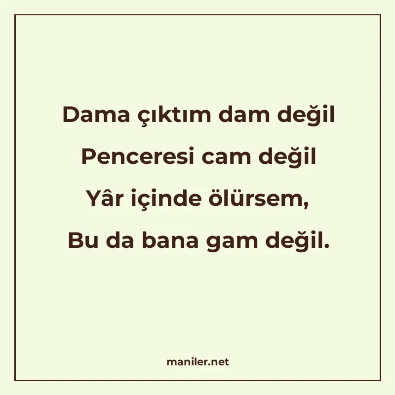 Dama çıktım dam değil Penceresi cam değil Yâr içinde ölürsem manisi görseli