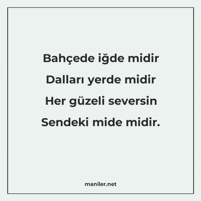 Bahçede iğde midir Dalları yerde midir Her güzeli seversin S manisi görseli