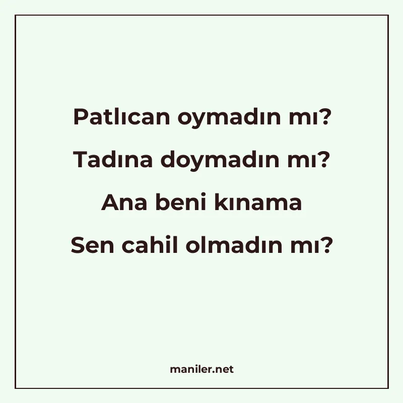 Patlıcan oymadın mı? Tadına doymadın mı? Ana beni kınama Sen manisi görseli