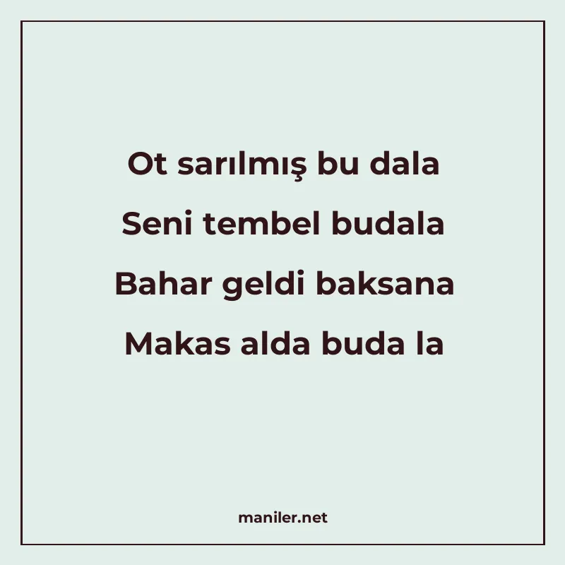 Ot sarılmış bu dala Seni tembel budala Bahar geldi baksana M manisi görseli
