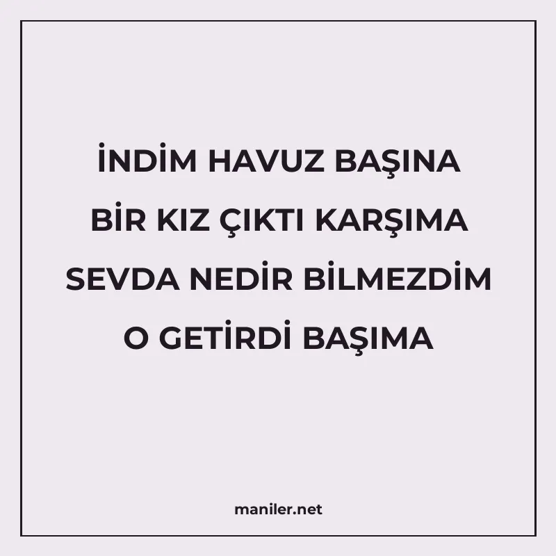 İNDİM HAVUZ BAŞINA BİR KIZ ÇIKTI KARŞIMA SEVDA NEDİR BİLMEZD manisi görseli