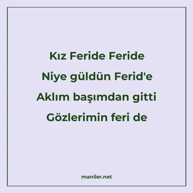 Kız Feride Feride Niye güldün Ferid'e Aklım başımdan gitti G manisi görseli
