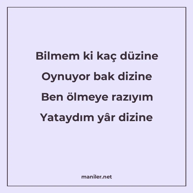 Bilmem ki kaç düzine Oynuyor bak dizine Ben ölmeye razıyım Y manisi görseli