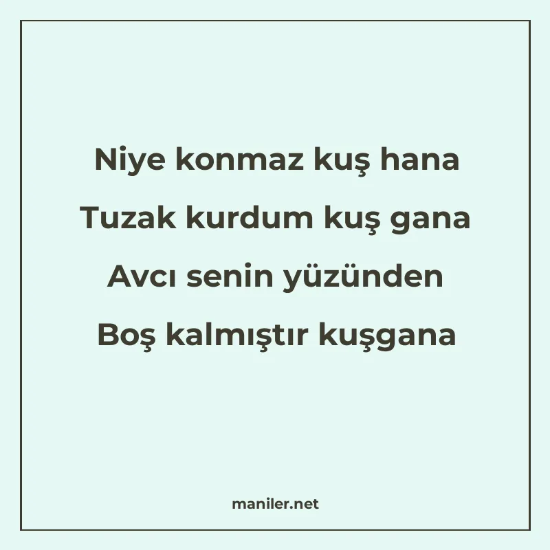 Niye konmaz kuş hana Tuzak kurdum kuş gana Avcı senin yüzünd manisi görseli