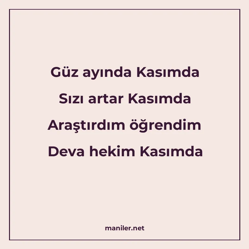 Güz ayında Kasımda Sızı artar Kasımda Araştırdım öğrendim De manisi görseli