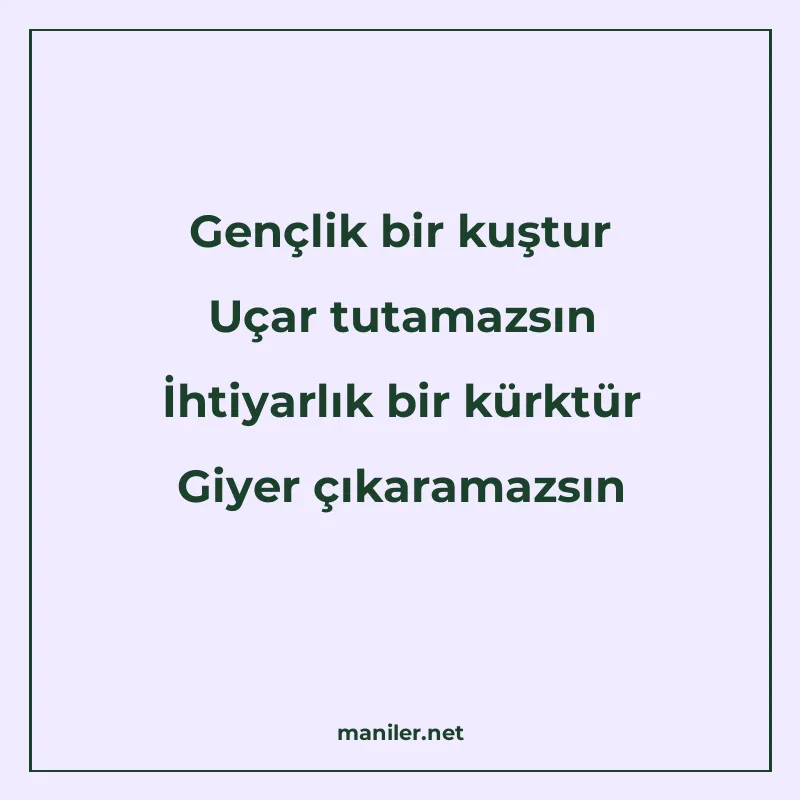 Gençlik bir kuştur Uçar tutamazsın İhtiyarlık bir kürktür Gi manisi görseli