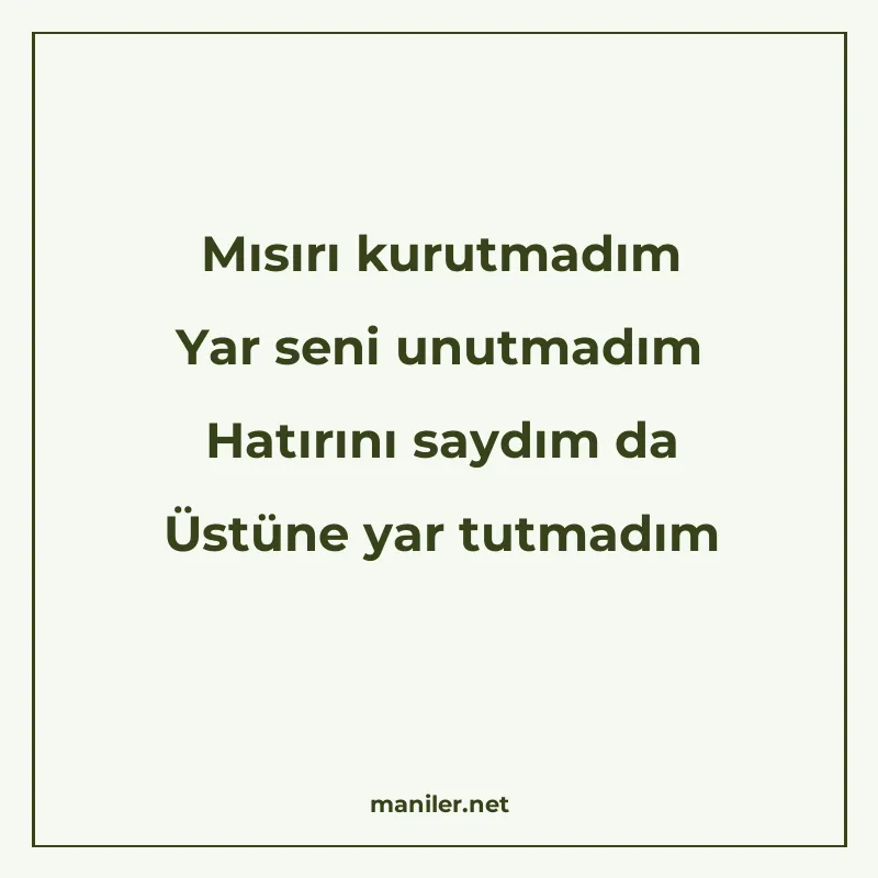 Mısırı kurutmadım Yar seni unutmadım Hatırını saydım da Üstü manisi görseli