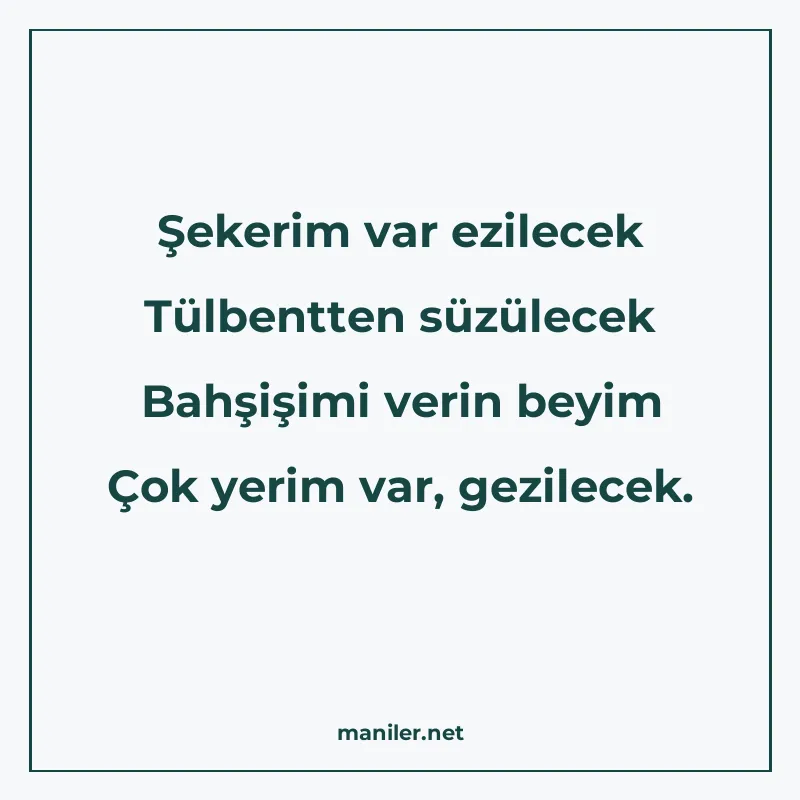 Şekerim var ezilecek Tülbentten süzülecek Bahşişimi verin be manisi görseli