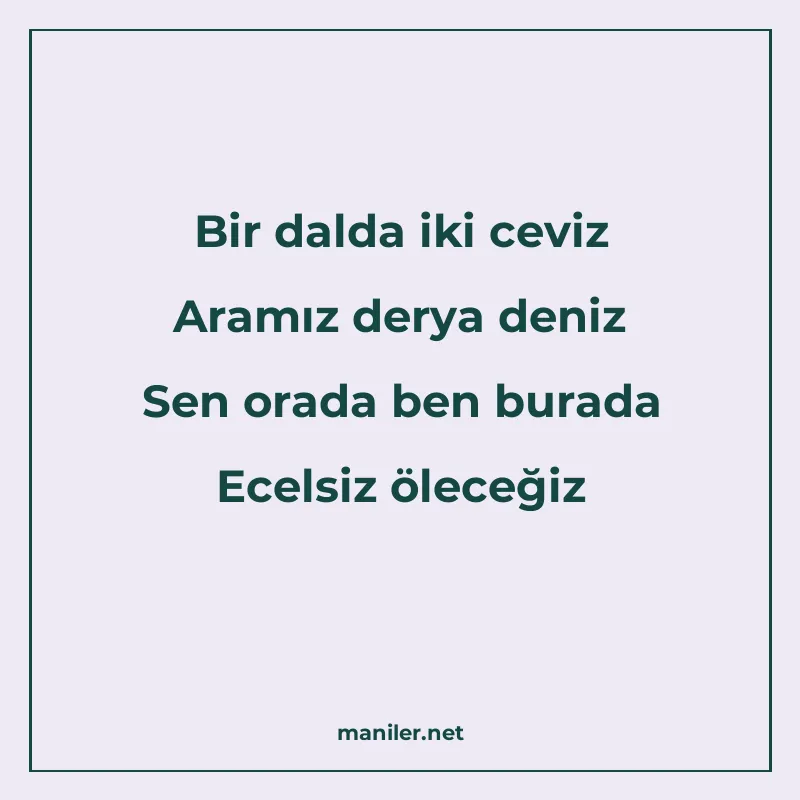 Bir dalda iki ceviz Aramız derya deniz Sen orada ben burada manisi görseli
