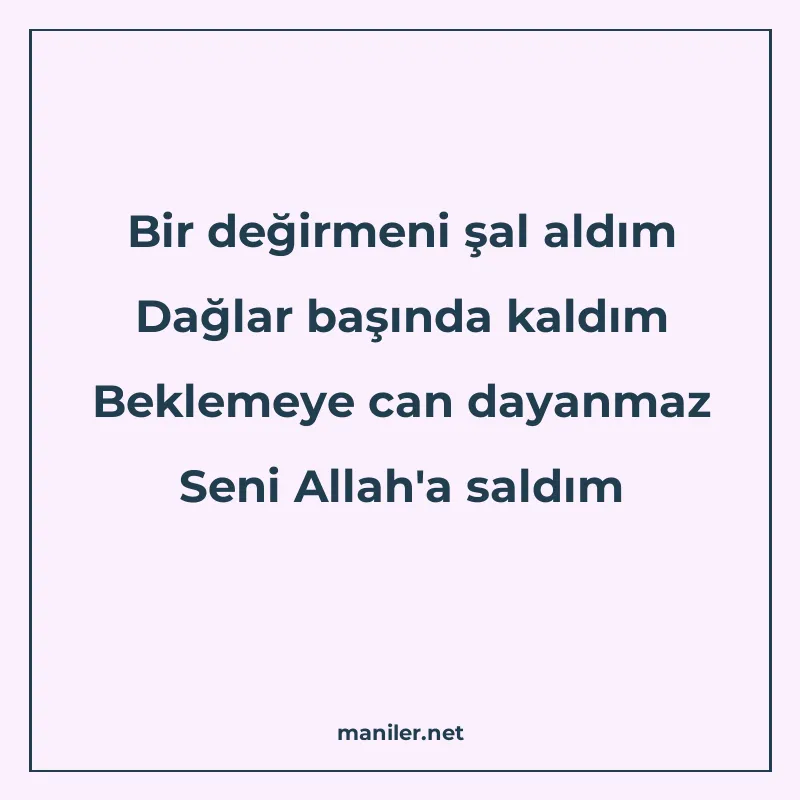 Bir değirmeni şal aldım Dağlar başında kaldım Beklemeye can manisi görseli