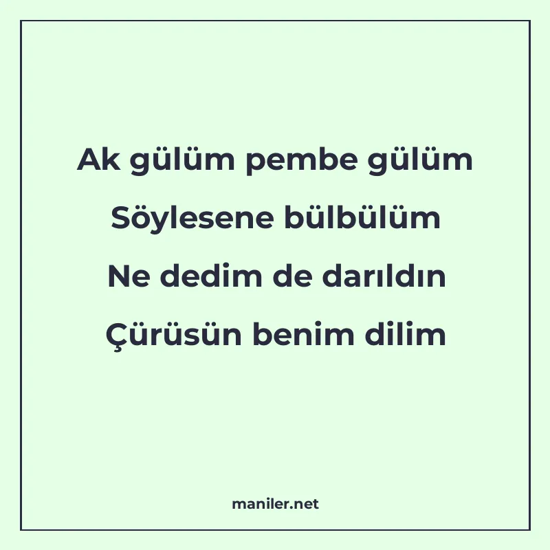 Ak gülüm pembe gülüm Söylesene bülbülüm Ne dedim de darıldın manisi görseli