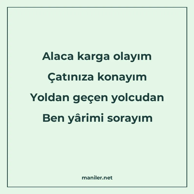 Alaca karga olayım Çatınıza konayım Yoldan geçen yolcudan Be manisi görseli