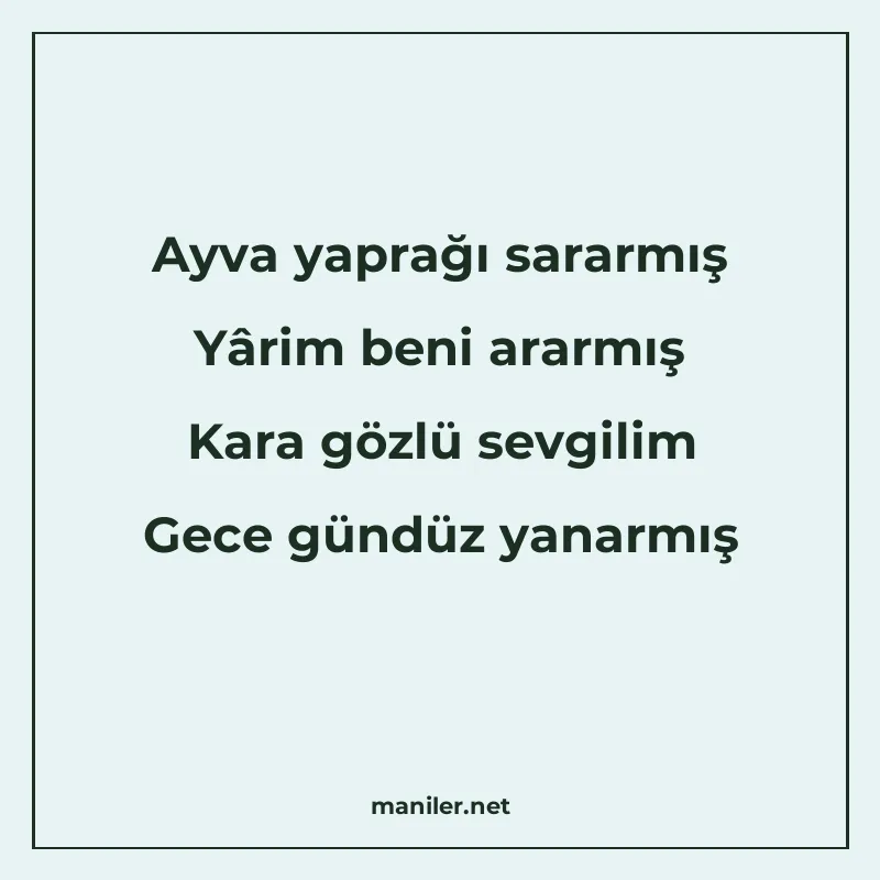 Ayva yaprağı sararmış Yârim beni ararmış Kara gözlü sevgilim manisi görseli