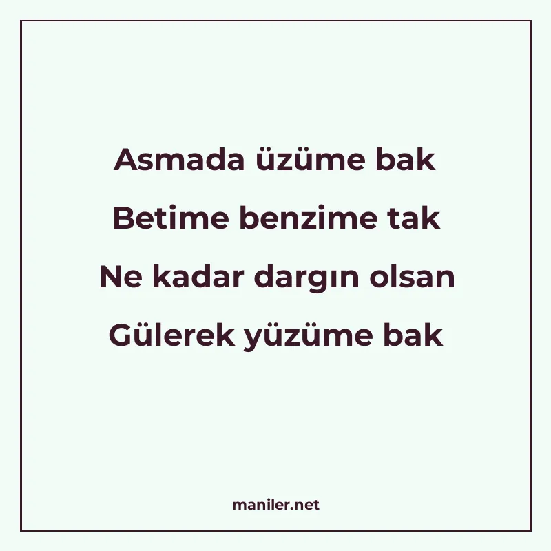 Asmada üzüme bak Betime benzime tak Ne kadar dargın olsan Gü manisi görseli