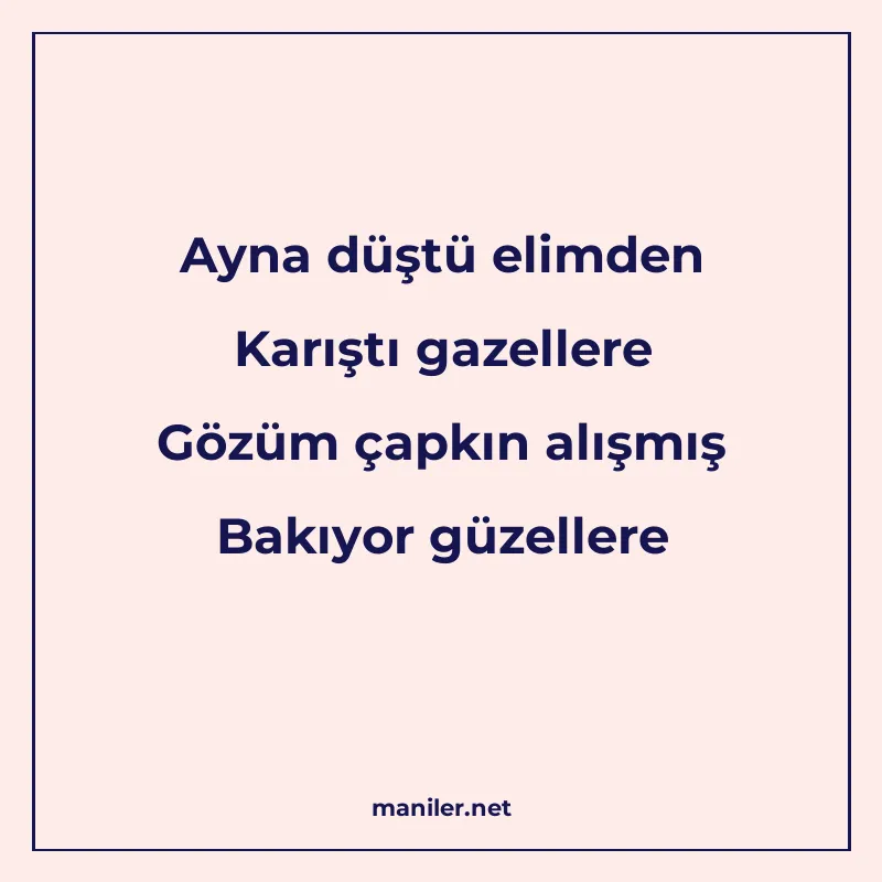 Ayna düştü elimden Karıştı gazellere Gözüm çapkın alışmış Ba manisi görseli