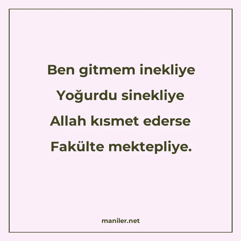 Ben gitmem inekliye Yoğurdu sinekliye Allah kısmet ederse Fa manisi görseli