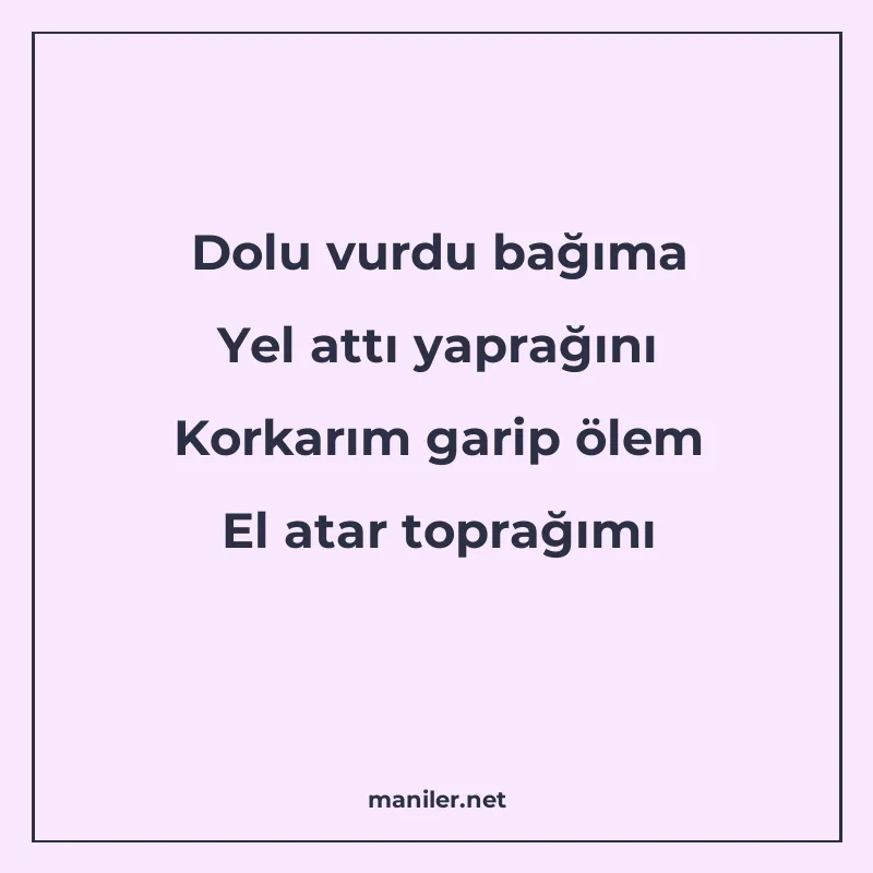 Dolu vurdu bağıma Yel attı yaprağını Korkarım garip ölem El manisi görseli