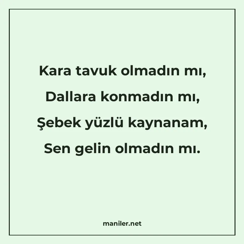 Kara tavuk olmadın mı, Dallara konmadın mı, Şebek yüzlü kayn manisi görseli
