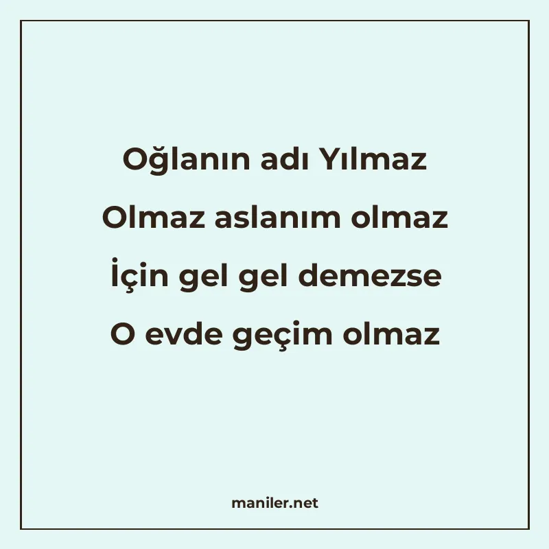 Oğlanın adı Yılmaz Olmaz aslanım olmaz İçin gel gel demezse manisi görseli