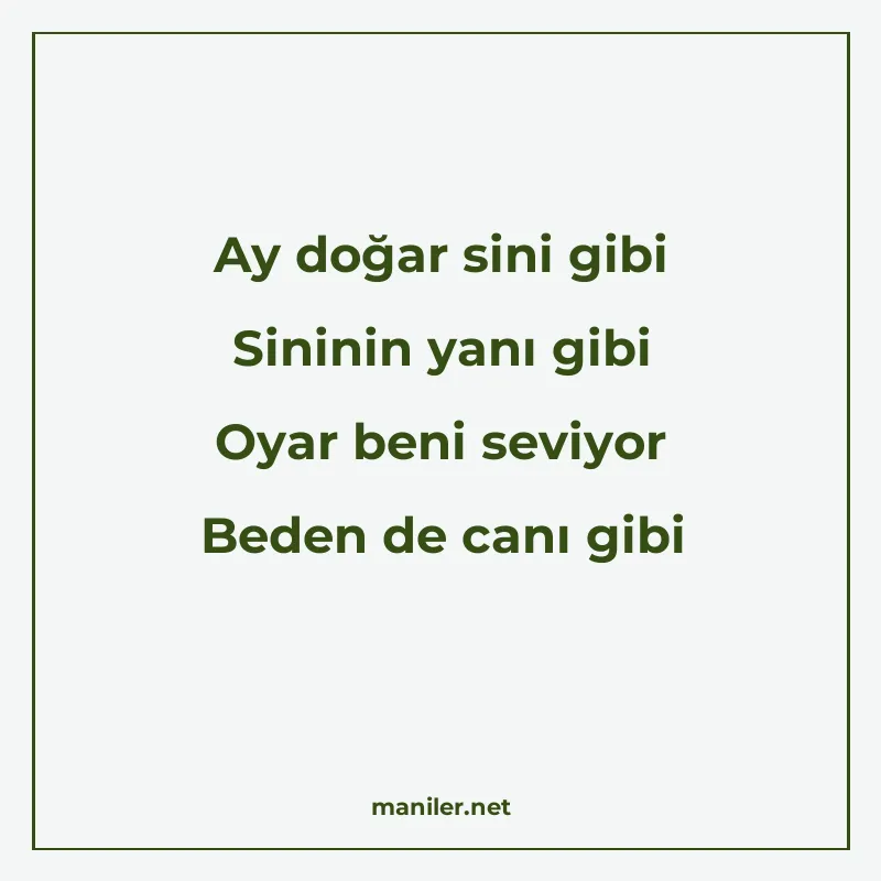 Ay doğar sini gibi Sininin yanı gibi Oyar beni seviyor Beden manisi görseli