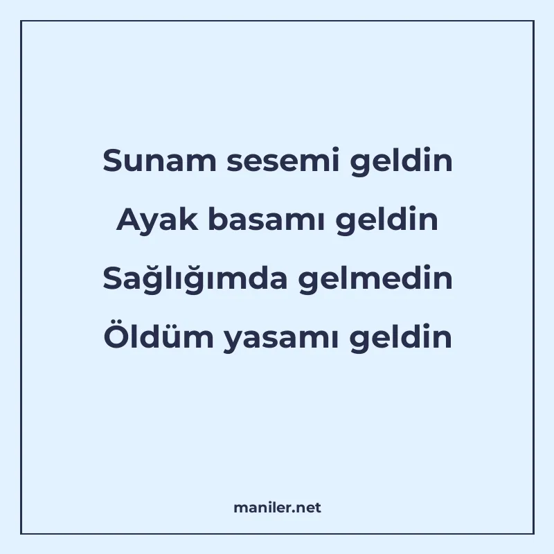Sunam sesemi geldin Ayak basamı geldin Sağlığımda gelmedin Ö manisi görseli