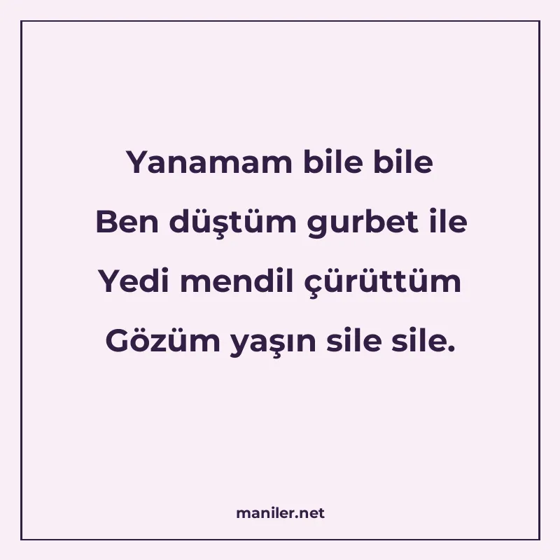 Yanamam bile bile Ben düştüm gurbet ile Yedi mendil çürüttüm manisi görseli