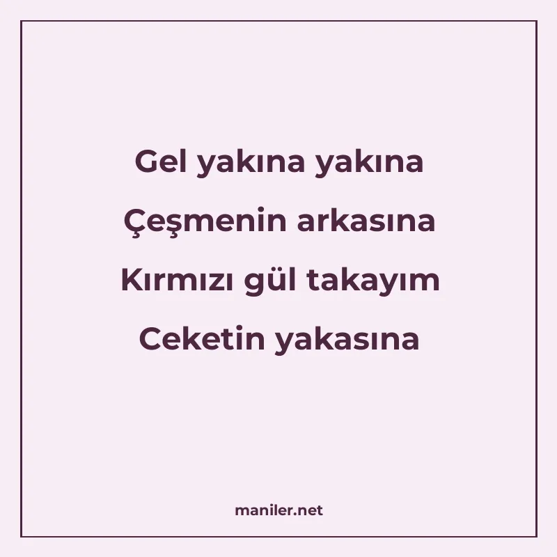 Gel yakına yakına Çeşmenin arkasına Kırmızı gül takayım Ceke manisi görseli